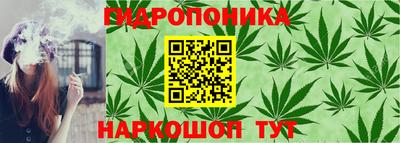 бошки Шахты