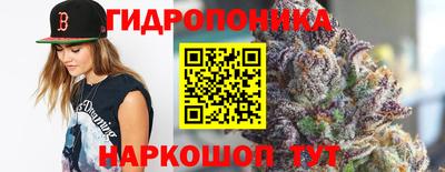 не бодяженный Шелехов